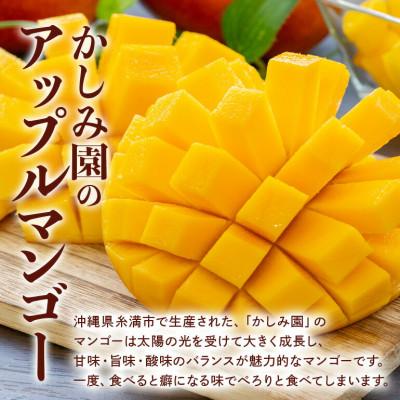 ふるさと納税 糸満市 【2027年発送】沖縄から直送!かしみ園の「濃厚