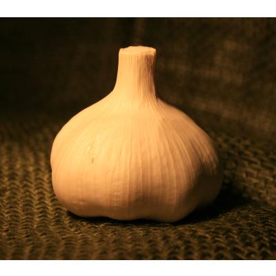 ふるさと納税 田子町 【さとふる限定】青森県田子町産熟成黒にんにくLサイズ6個入り|y-sf|03