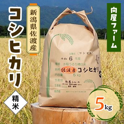 ふるさと納税 佐渡市 [令和5年]向屋ファーム・佐渡産「コシヒカリ」5kg