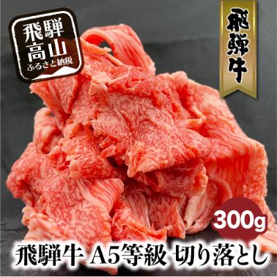 ふるさと納税 高山市 A-5等級飛騨牛切り落とし 300g