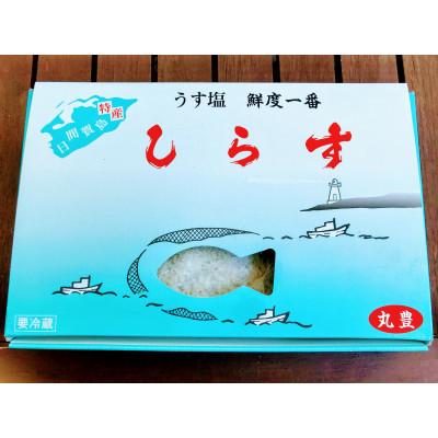 ふるさと納税 南知多町 こだわりの減塩・しらす500g愛知県日間賀島産・工場直送うまうま｜y-sf｜02