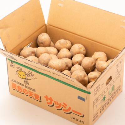 ふるさと納税 美幌町 「数量限定訳あり品」じゃがいも「サッシー」Mサイズ・10kg｜y-sf｜04