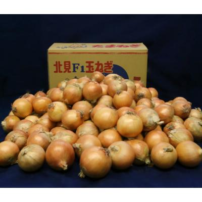 ふるさと納税 玉ねぎ 美幌町 「数量限定訳あり品」玉ねぎMサイズ・20kg