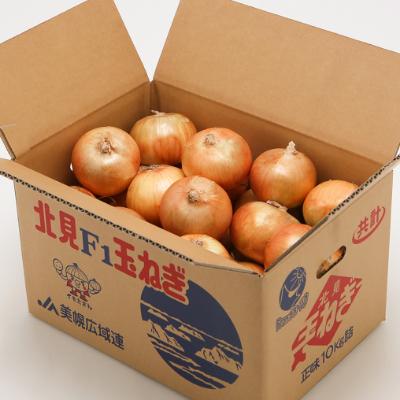 ふるさと納税 美幌町 「数量限定訳あり品」玉ねぎMサイズ・20kg