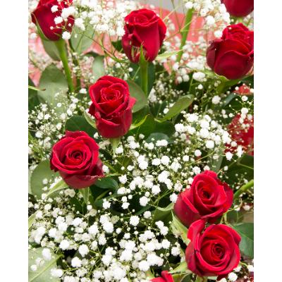 安い 直営 店 ふるさと納税 小田原市 赤バラ花束 36本 純正大特価祭 Sbdkab Go Id