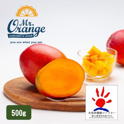 大人気新品 ふるさと納税 環境マイスターのアップルマンゴー500g 水俣市 ふるさと納税 マンゴー 水俣市 フルーツ