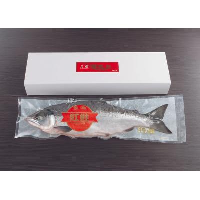 ふるさと納税 塩竈市 甘塩 ベニザケ1尾 特特大きさ