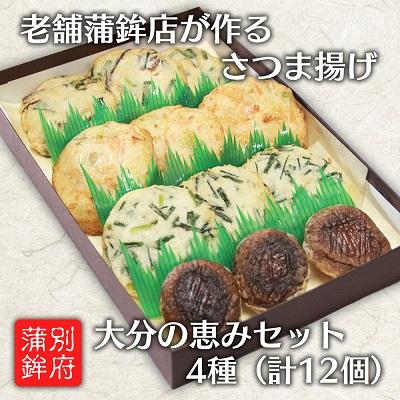ふるさと納税 日出町 さつま揚げ 13周年記念イベントが 天ぷら 4種 12個入り 安い 激安 プチプラ 高品質 大分の恵みセット
