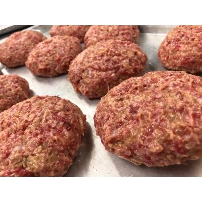 ふるさと納税 久御山町 多来多来の自家製手ごねハンバーグ(150g×5個)|y-sf|02