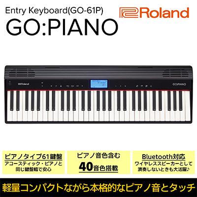 ふるさと納税 浜松市 [Roland]61鍵電子ピアノ/GO:PIANO