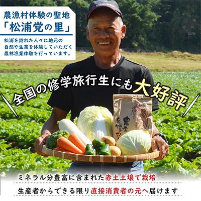 ふるさと納税 松浦市 農漁村体験の聖地「松浦党の里」旬の野菜とお米(3kg)セット