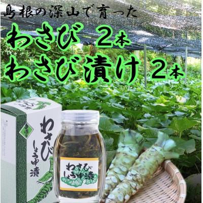 ふるさと納税 吉賀町 [2024年5月20日以降順次発送]根わさび、わさび漬けセット