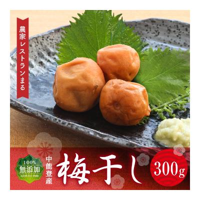 ふるさと納税 中能登町 農家レストランまるのこだわり「さえさどぶろく」甘口と自家製梅干しセット 