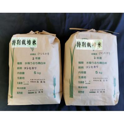 人気定番の 佐野市 ふるさと納税 コシヒカリ 佐野市 ふるさと納税 令和3年収穫 5kg 2袋 栃木県佐野市産コシヒカリ 特別栽培米 米 雑穀 粉類 Swayamhealth Com