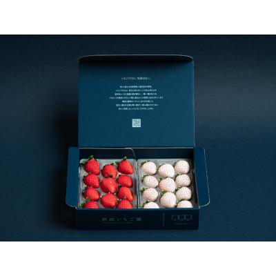 ふるさと納税 佐賀市 佐賀県産いちご さがほのか&amp;パールホワイト 紅白セット