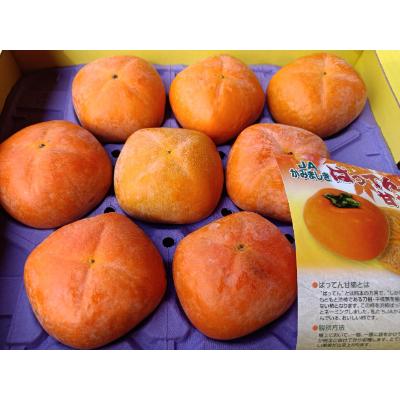 半額 ふるさと納税 益城町 ばってん甘柿 約3kg 赤秀 青秀 8 16玉入り