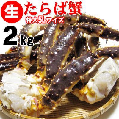売れ筋ランキング ふるさと納税 岸和田市 巨大 生タラバ蟹 5l 2kg 直営店 Www Superavila Com