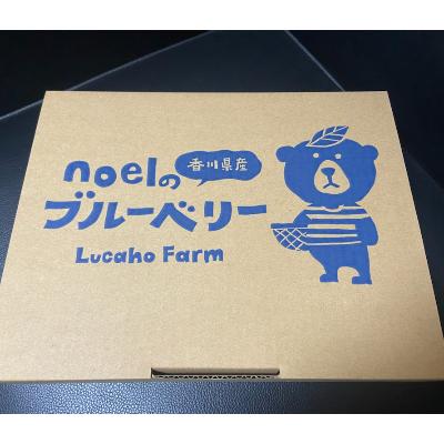 ふるさと納税 東かがわ市 Lucaho Farm ブルーベリー　500g｜y-sf｜03