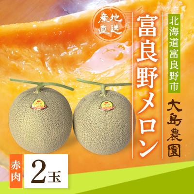 ふるさと納税 富良野市 [2026年発送]富良野メロン 赤肉2玉 北海道富良野市『大島農園』