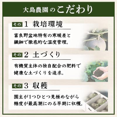 ふるさと納税 富良野市 【先行受付】富良野メロン　赤肉2玉　北海道富良野市『大島農園』｜y-sf｜04