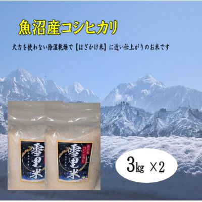 ふるさと納税 魚沼市 [令和7年産]生産者直送!魚沼産コシヒカリ[雪里米(ふるさとまい)](精米)3kg×2