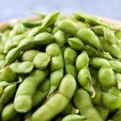 ふるさと納税 鶴岡市 A26-612 だだちゃ豆(冷凍1.5kg)