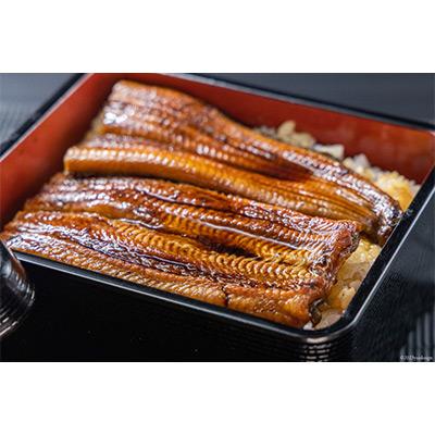 ふるさと納税 吉田町 静岡県産うなぎ蒲焼2本セット 