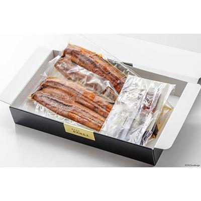 ふるさと納税 吉田町 静岡県産うなぎ蒲焼2本セット 