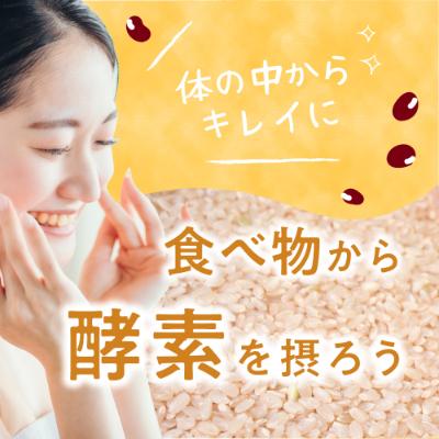 ふるさと納税 飛騨市 自宅で酵素玄米セット 特別栽培米玄米コシヒカリ4kg+小豆200g