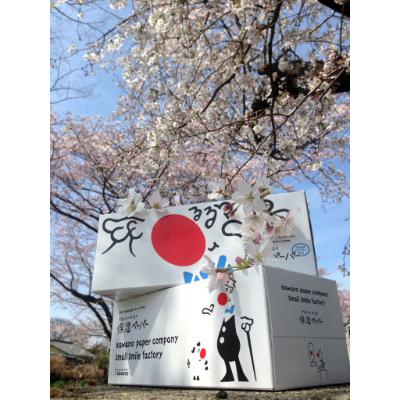 ふるさと納税 蓮田市 保湿ペーパー アヴォンリーキースボックスティシュ 10箱|y-sf|02