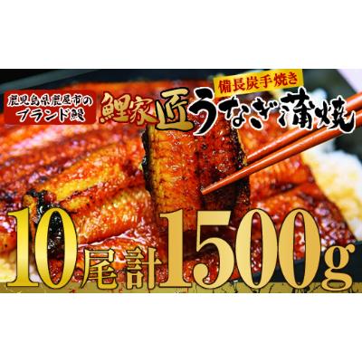 ふるさと納税 鹿屋市 ウナギ 鰻 食品 九州産 備長炭手焼 魚介類 海産物