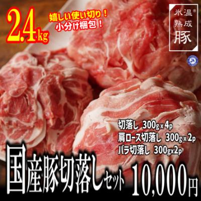 ふるさと納税 泉佐野市 最初の 最安値 氷温 R 010B815 国産豚切落しセット 3種2.4kg 熟成豚