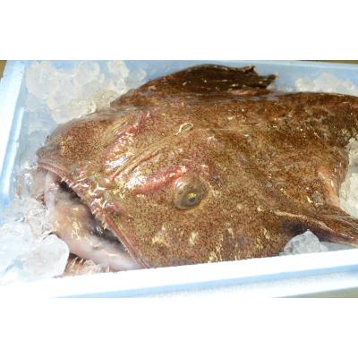 ふるさと納税 ひたちなか市 常陸名物あんこう鍋(3〜4人前)と常陸牛ハンバーグ(4個)セット