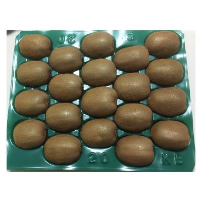 ふるさと納税 蓮田市 埼玉県産 グリーンキウイ(ヘイワード)贈答用 特L20玉