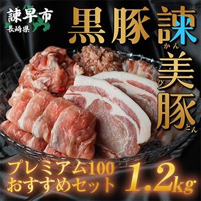 ふるさと納税 諫早市 自家栽培のお米で育てた黒豚諫美豚(かんびとん)プレミアム100 おすすめセット1.2kg