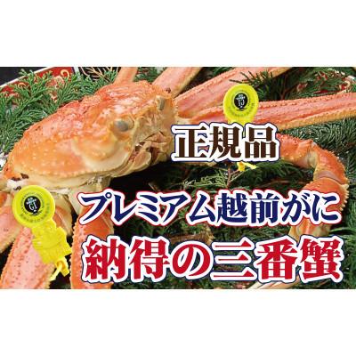 ふるさと納税 越前町 三番蟹 納得のプレミアム越前がに × 1杯 ≪浜茹で≫[12・1月発送分]