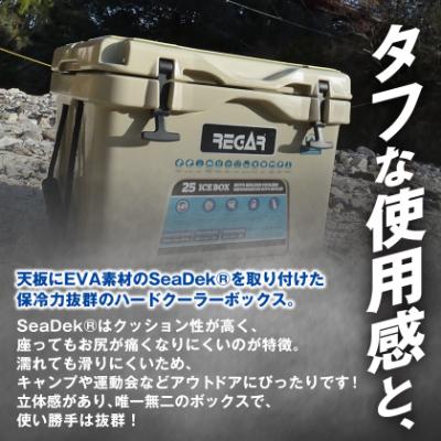 ふるさと納税 いなべ市 オリジナルマット(SeaDek)付ハードクーラー