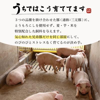 ふるさと納税 藤沢市 希少ブランド豚『みやじ豚バラ しゃぶしゃぶ用・ブロックの2種(1.1kg)』(冷蔵・生肉)|y-sf|03
