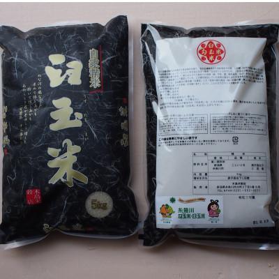 ふるさと納税 糸魚川市 令和5年産 臼玉米(こしいぶき・精米)5kg×2