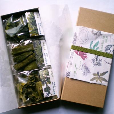 半額 ふるさと納税 石川県 能登の食べる海藻図鑑 2箱セット Wantannas Go Id