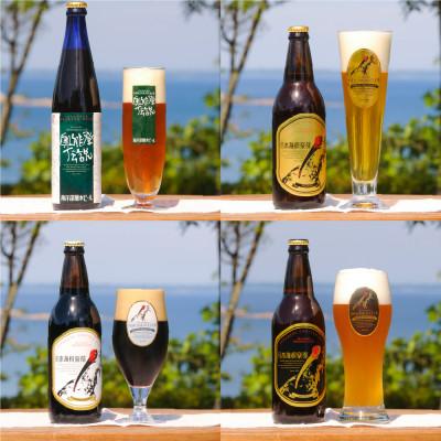 ふるさと納税 石川県 奥能登伝説・奥能登ビール 9本セット _22080の画像