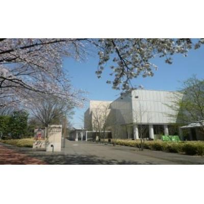 ふるさと納税 府中市 府中市美術館賛助会員(サポーティング・メンバーズ)