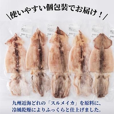 ふるさと納税 門川町 国産いか一夜干し5枚セット(計約1.2kg以上)|y-sf|02