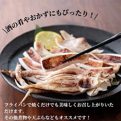 ふるさと納税 門川町 国産いか一夜干し5枚セット(計約1.2kg以上)|y-sf|03