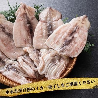 ふるさと納税 門川町 国産いか一夜干し5枚セット(計約1.2kg以上)|y-sf|04