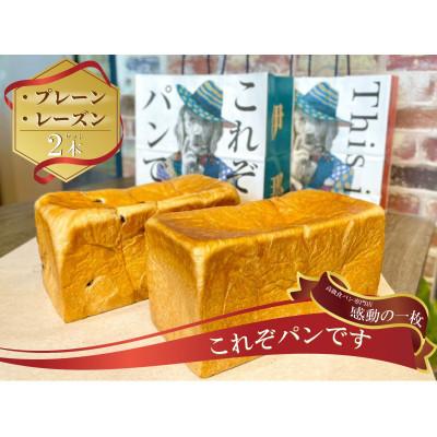ふるさと納税 南箕輪村 これぞパンです 高級食パン『プレーン1本