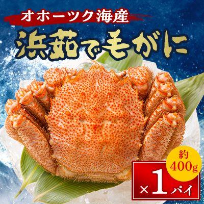 ふるさと納税 北見市 オホーツク海産 浜茹で毛がに 約400g×1パイ