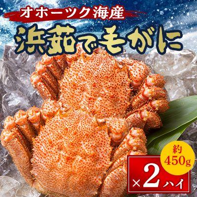 ふるさと納税 北見市 オホーツク海産 浜茹で毛がに 約450g×2ハイ