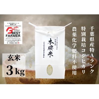 ふるさと納税 大網白里市 本腰米(玄米)3kg 特Aコシヒカリ