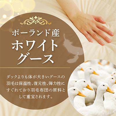 ふるさと納税 泉佐野市 羽毛布団 2枚 ポーランド産グース贅沢仕様 シングル アイボリー 099H3101の画像